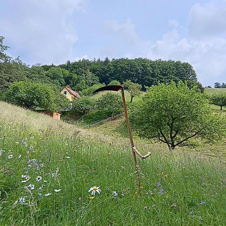 Ferienhäuser Grabenhansl Stubenberg Exterior foto