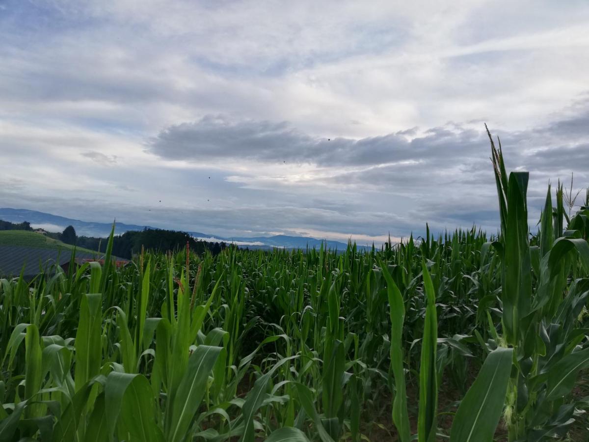 Ferienhäuser Grabenhansl Stubenberg Exterior foto