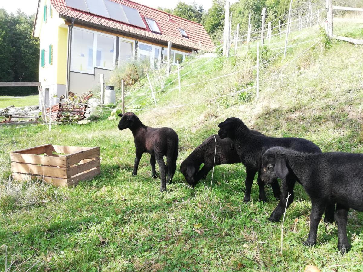 Ferienhäuser Grabenhansl Stubenberg Exterior foto