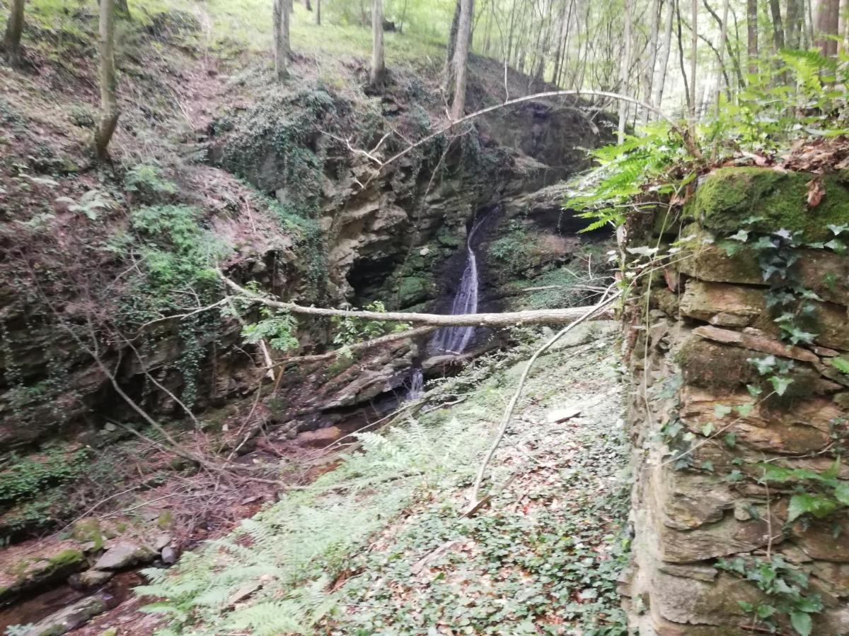 Ferienhäuser Grabenhansl Stubenberg Exterior foto