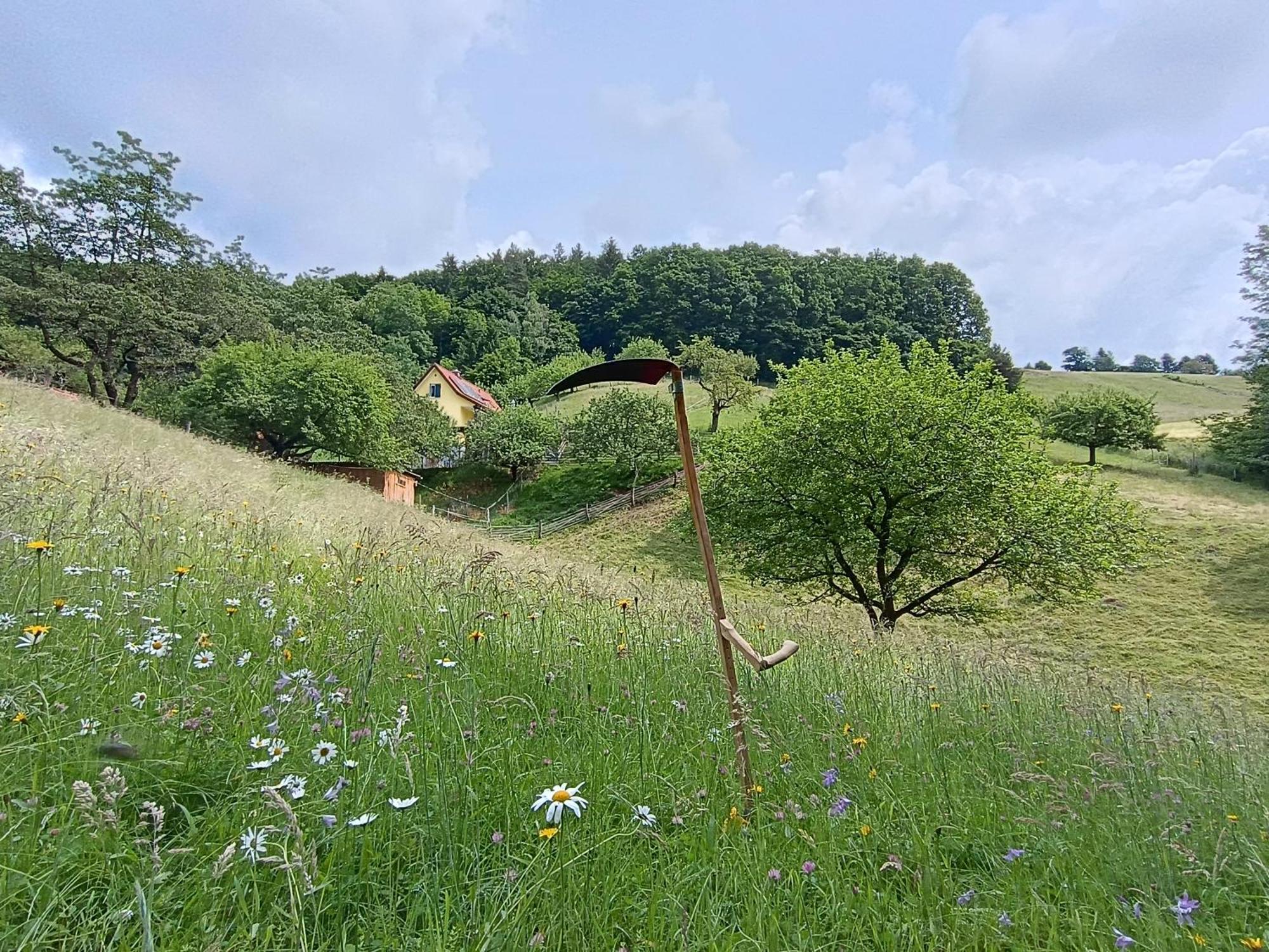 Ferienhäuser Grabenhansl Stubenberg Exterior foto