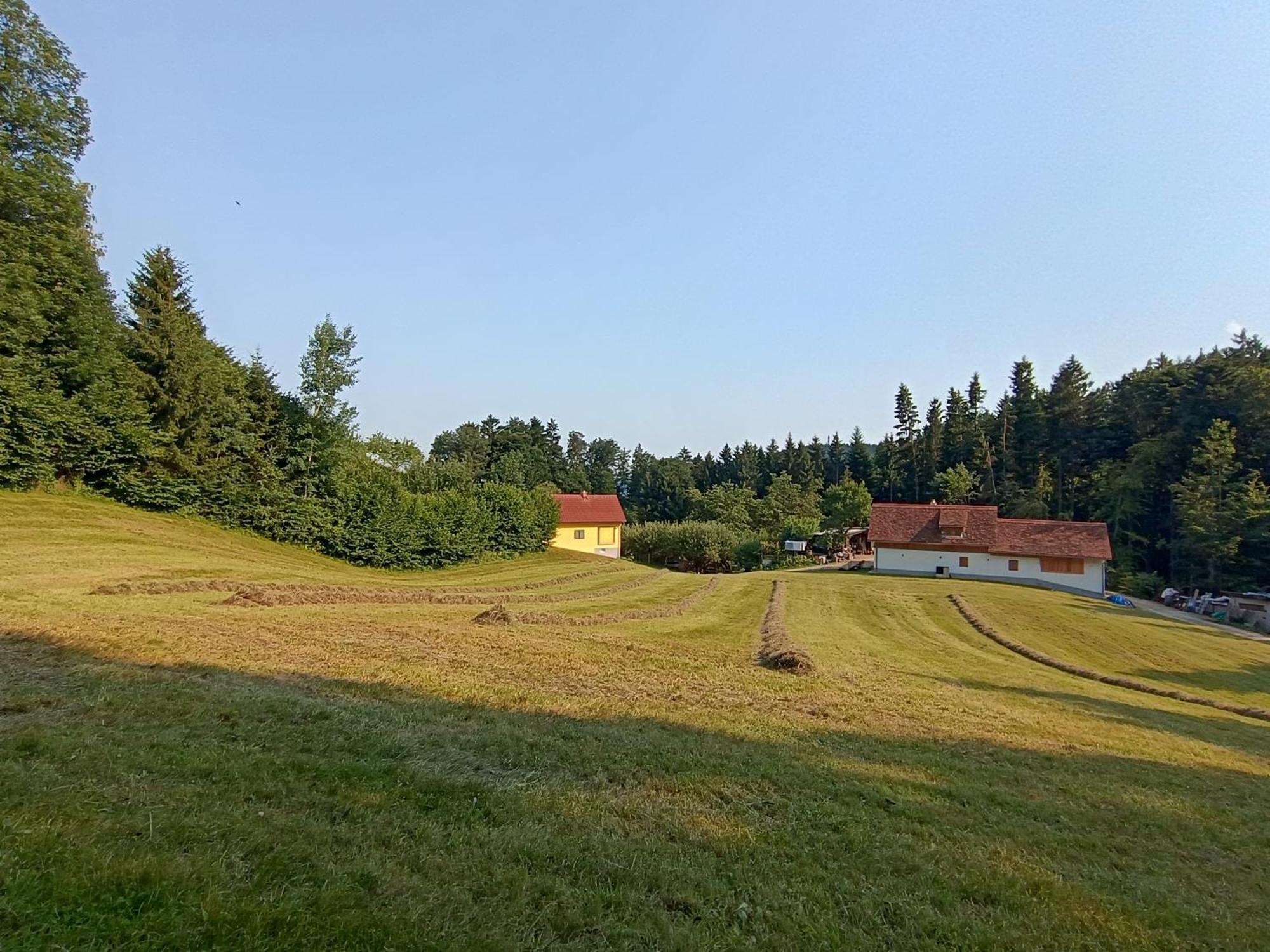 Ferienhäuser Grabenhansl Stubenberg Exterior foto